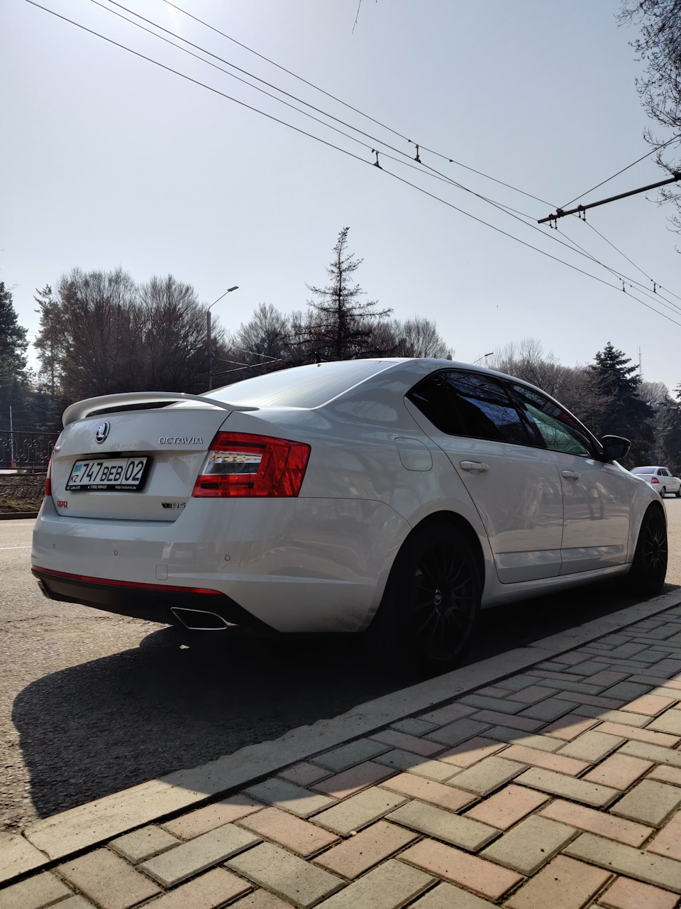 СТО на дому — моемся и меняем маслоотделитель — Skoda Octavia RS A7 Mk3, 2  л, 2014 года | своими руками | DRIVE2