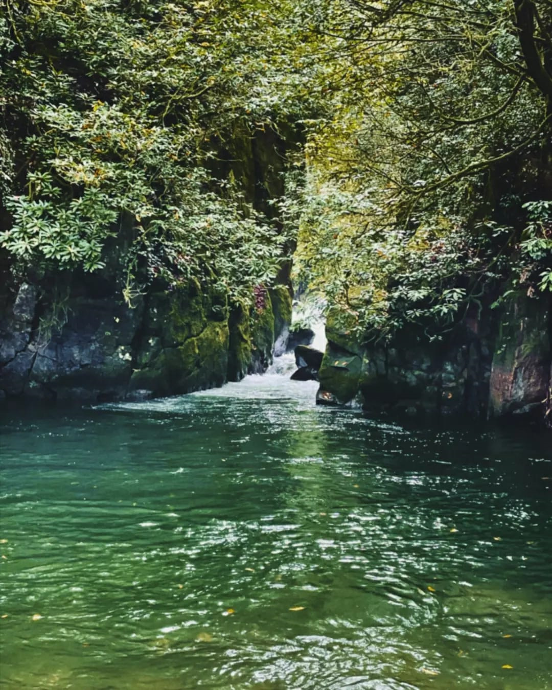 Частичная замена масла АКПП (вторая) — Volkswagen Polo Sedan, 1,6 л ...