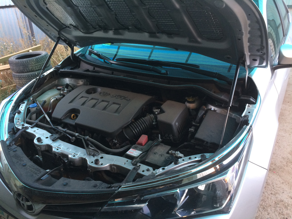 Газовые опоры капота короллы 160/180 (+10к к комфорту) — Toyota Corolla ...