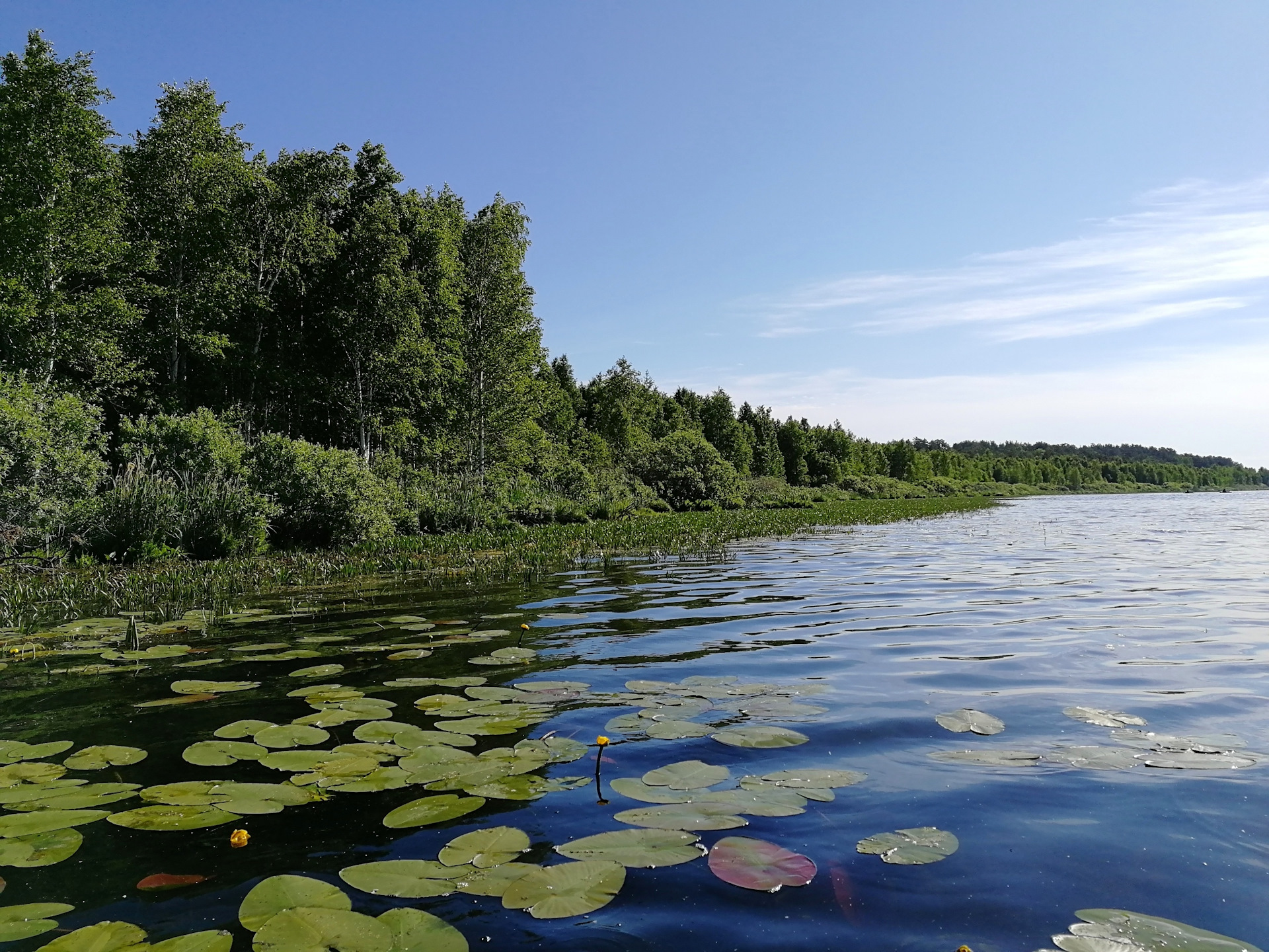 Lake drive