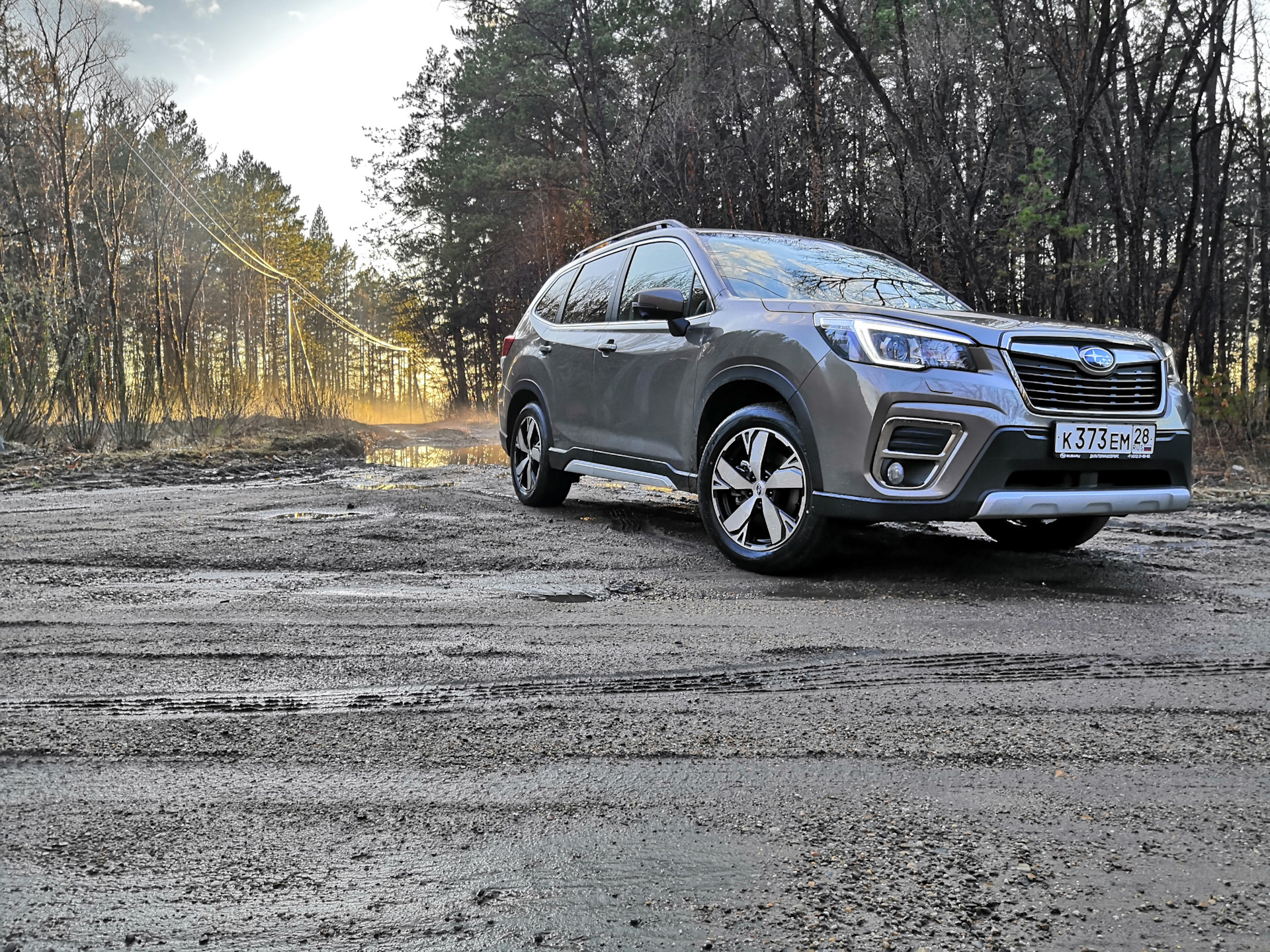 Forester drive2