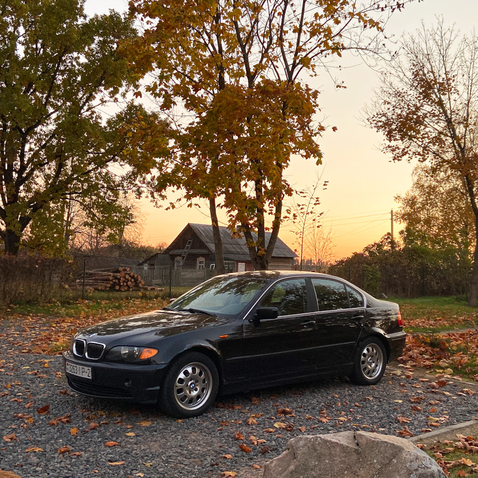 Вибрация при езде на 1500 оборотах — BMW 3 series (E46), 2,5 л, 2001 года |  поломка | DRIVE2