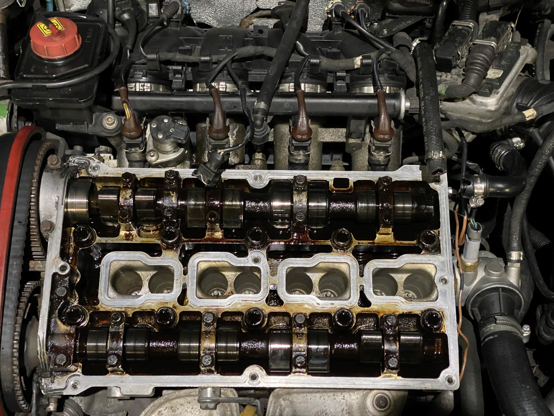 Весеннее обострение — Alfa Romeo GTV (916), 2 л, 1998 года | визит на ...