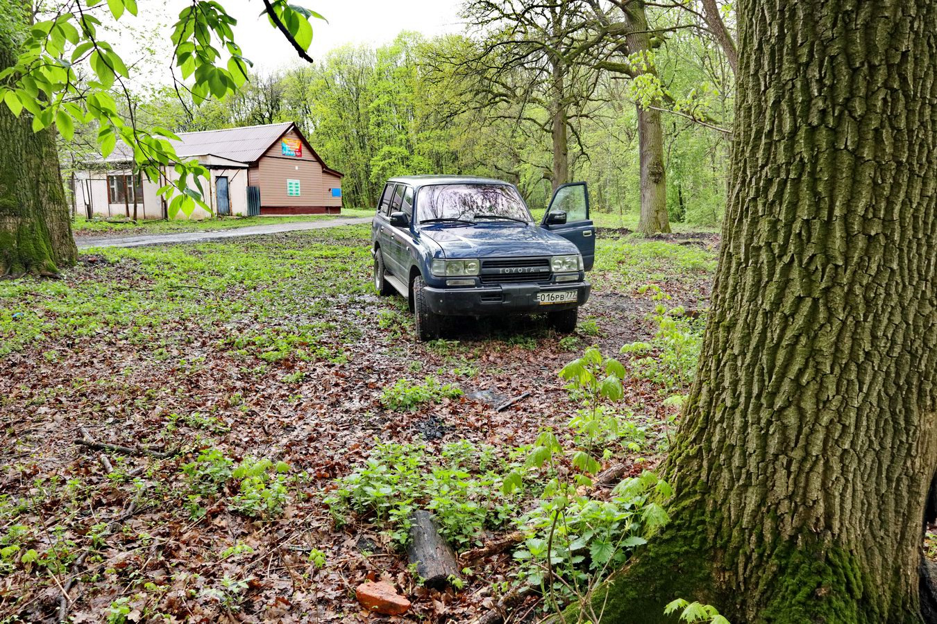 Майские праздники в долине Дона с внуком (4 г). Часть 1 — Toyota Land  Cruiser 80, 4,2 л, 1994 года | путешествие | DRIVE2