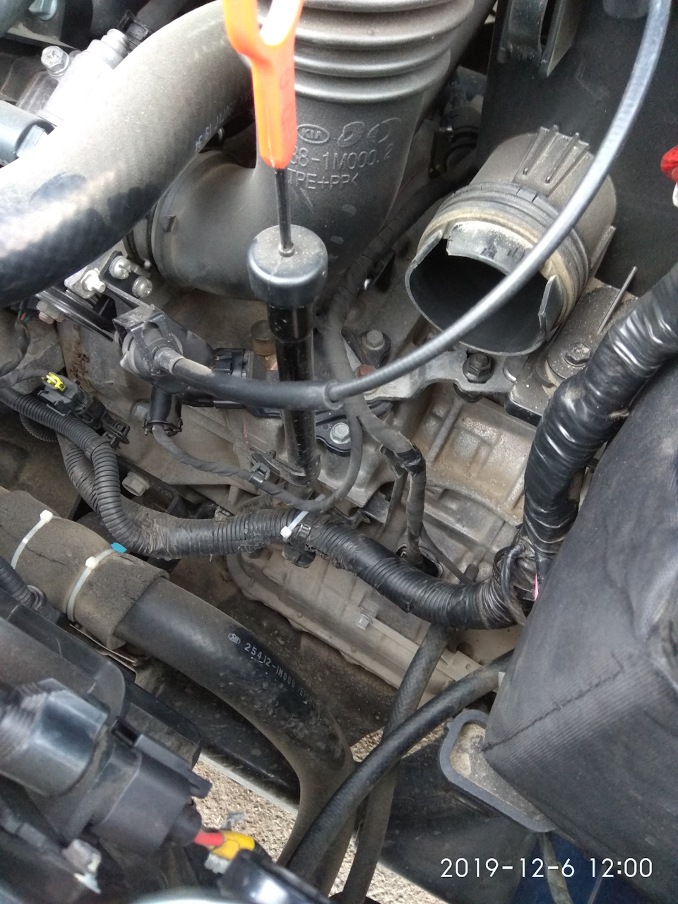 Фото в бортжурнале KIA Cerato (2G)