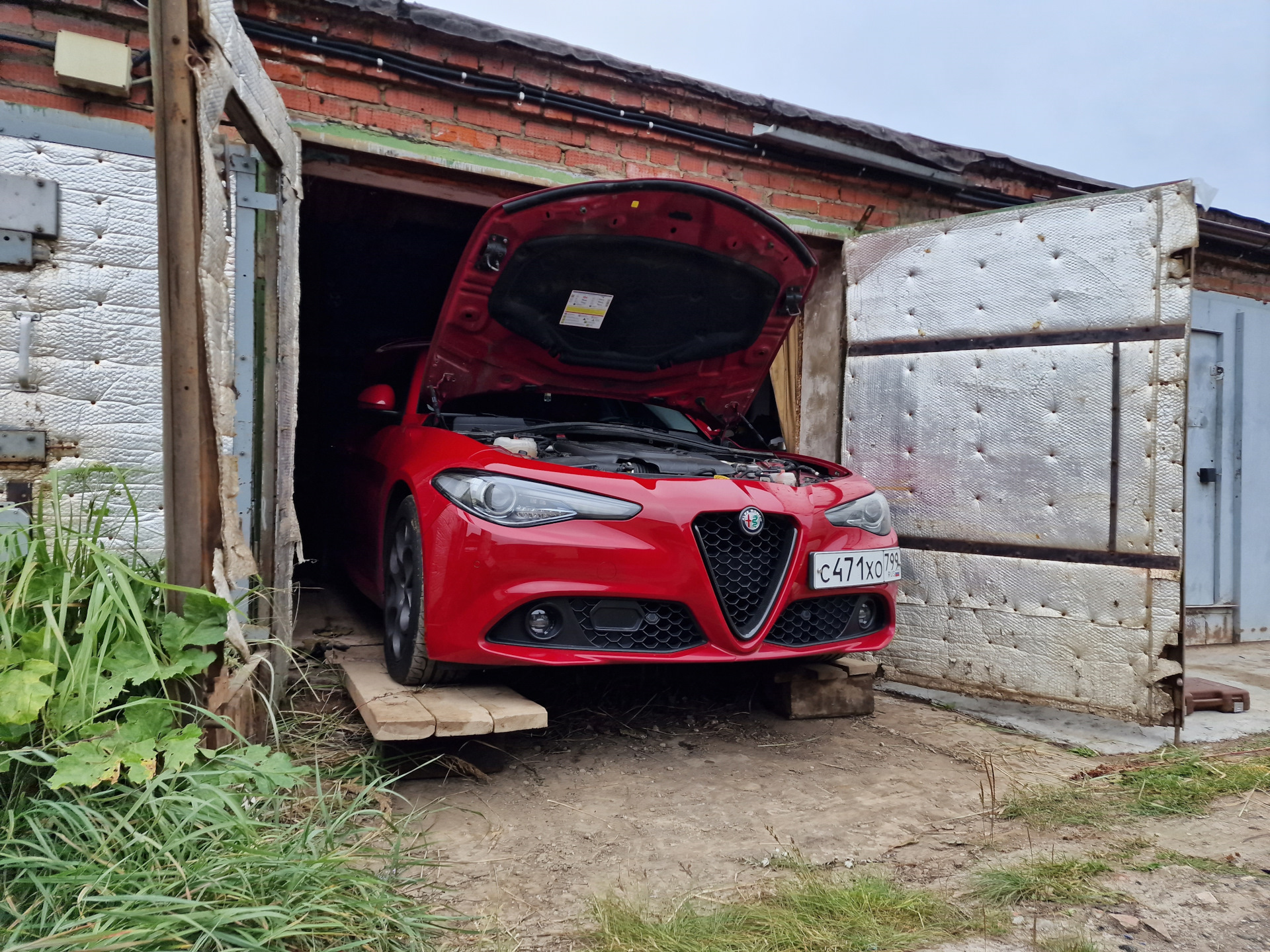 12. Масляное ТО Liqui Moly + Датчик IBS + Чернитель шин Grass — Alfa Romeo  Giulia (952), 2,2 л, 2017 года | плановое ТО | DRIVE2