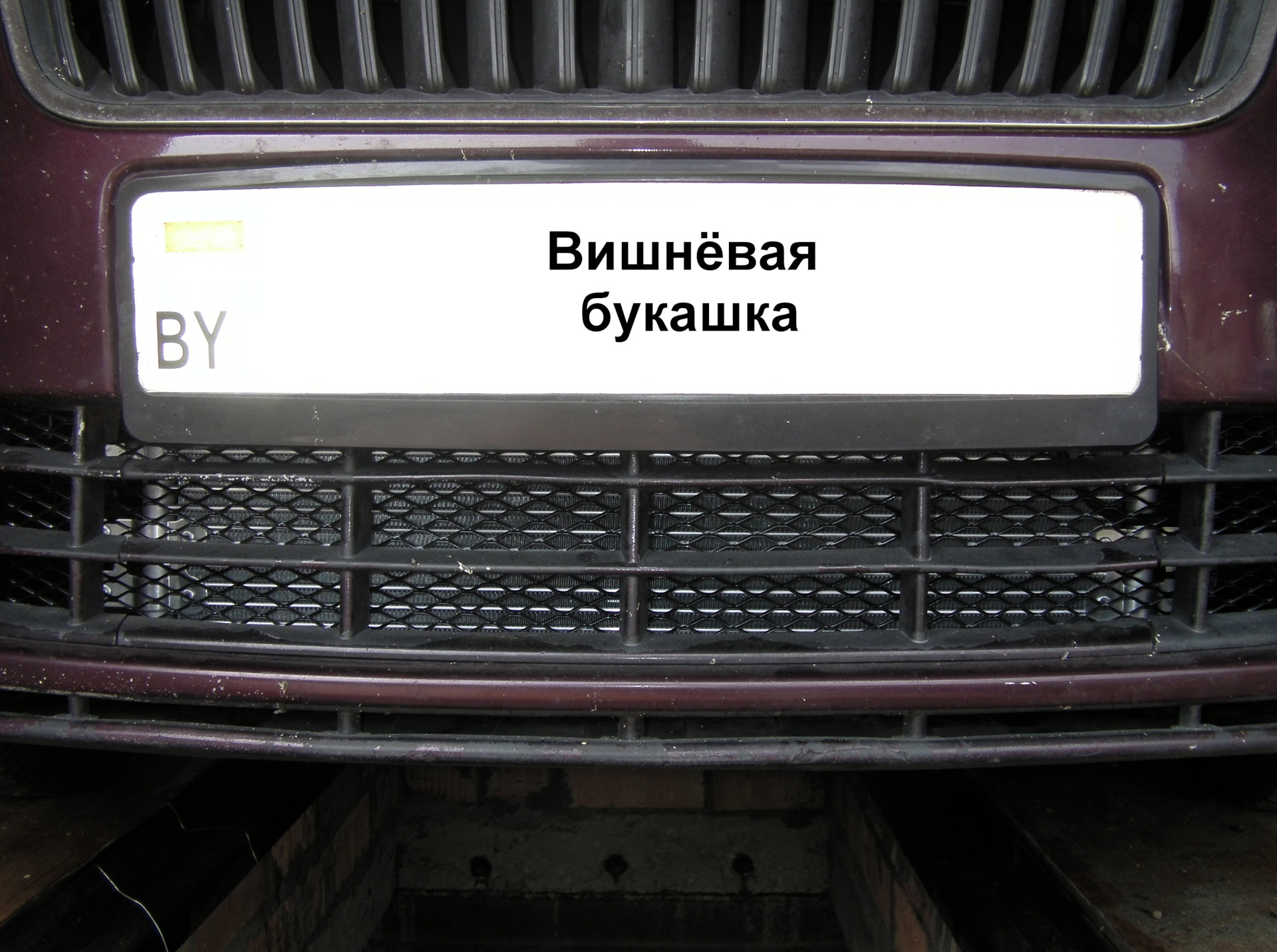 Установил защитную сетку в бампер. — Skoda Fabia Mk2, 1,6 л, 2011 года ...
