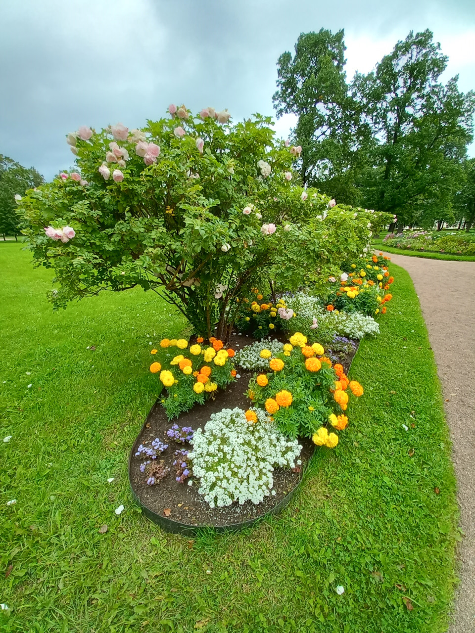 Фото в бортжурнале Renault Sandero 2G