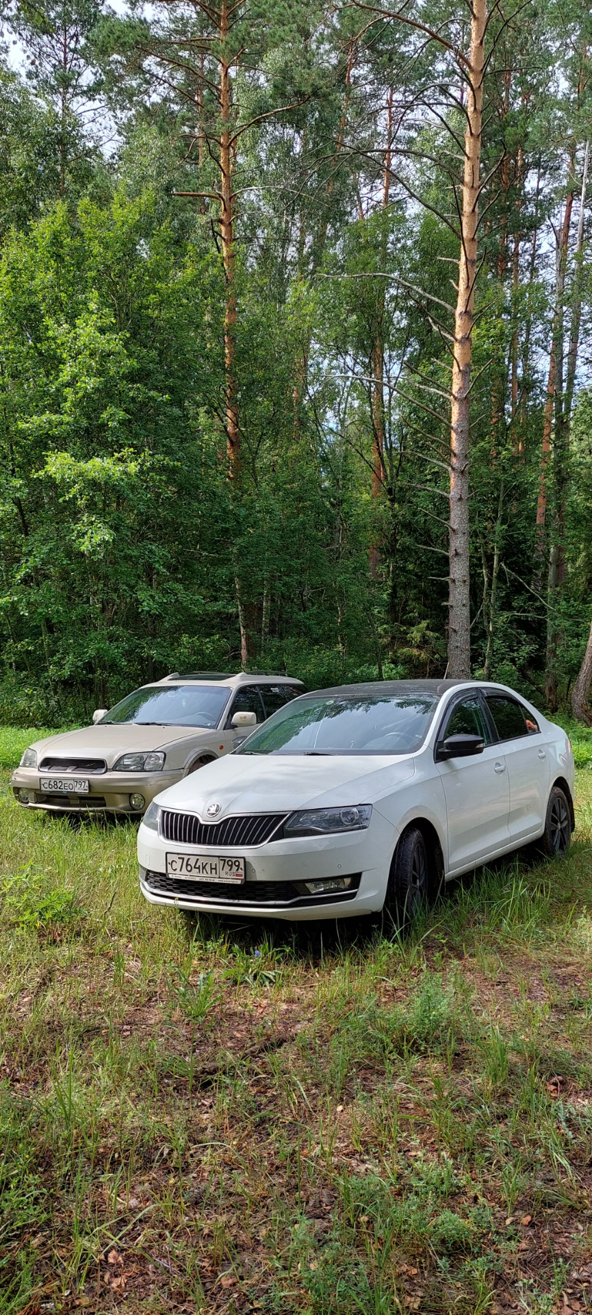 Первая дальняя поездка после покупки — Subaru Outback (BH), 3 л, 2001 года  | путешествие | DRIVE2