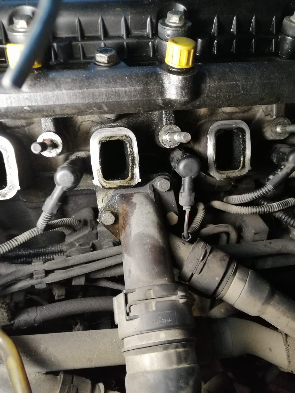 Проверка и настройка форсунок — BMW 5 series Touring (E39), 2,5 л, 2003 ...