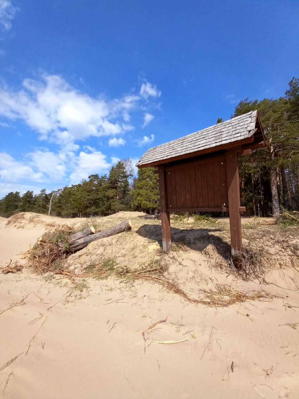 Фото в бортжурнале Renault Sandero 2G