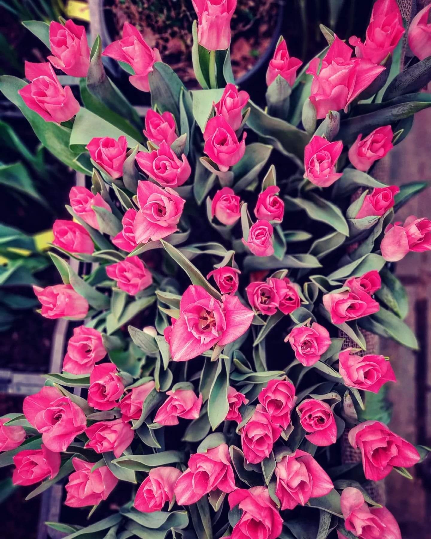 Как я не была татаркой — DRIVE2