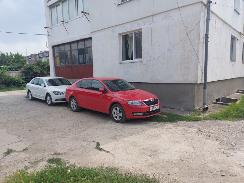 Фото в бортжурнале Skoda Octavia A7 Mk3