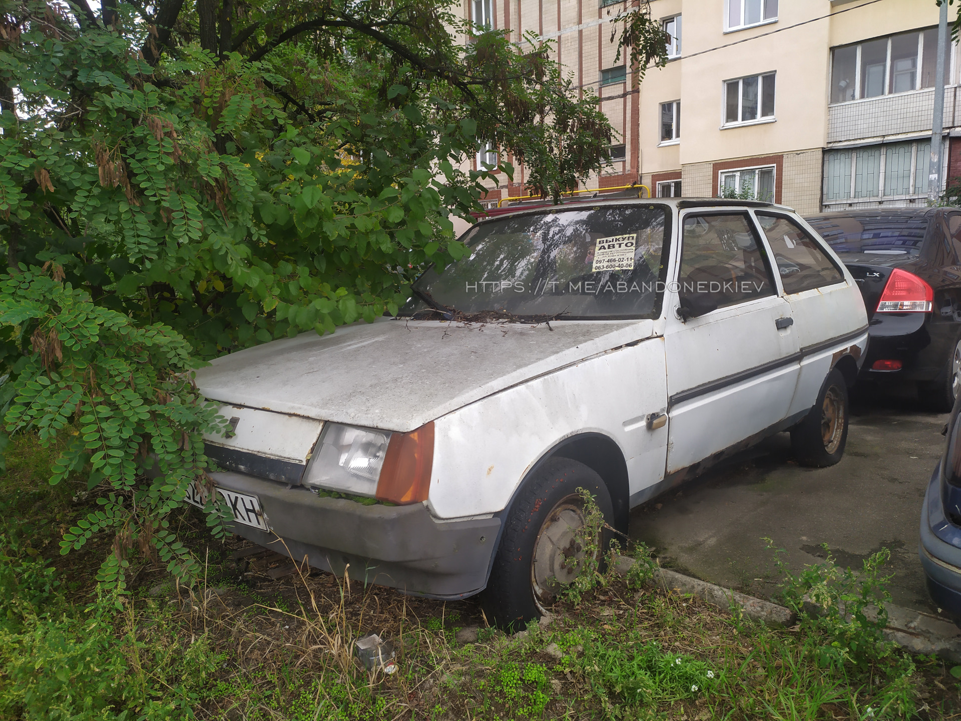 Брошенные автомобили Киев, Троещина. — Сообщество «Брошенные Машины» на  DRIVE2