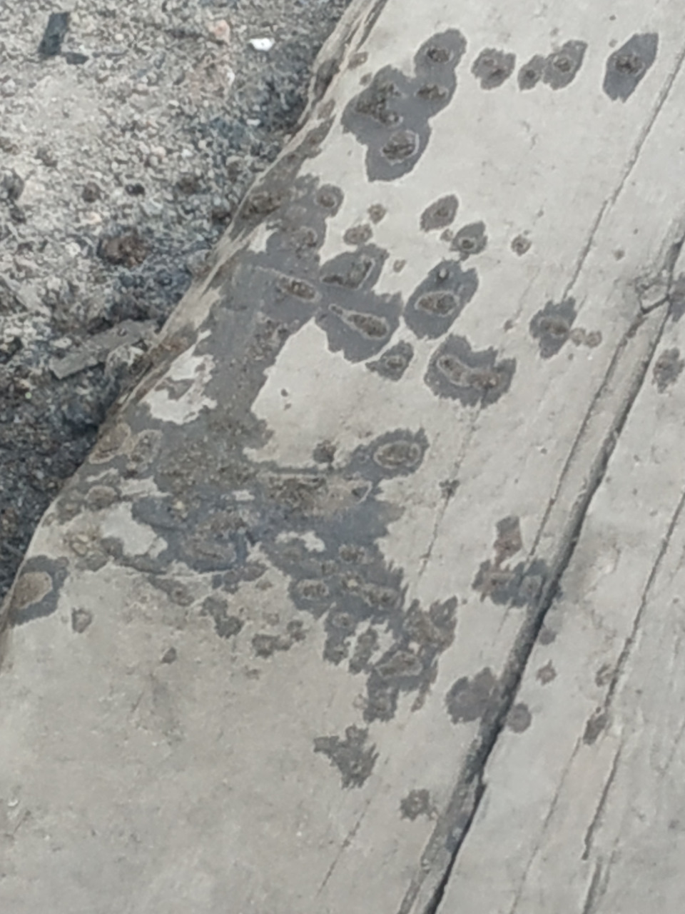 Фото в бортжурнале Toyota Mark II (110)