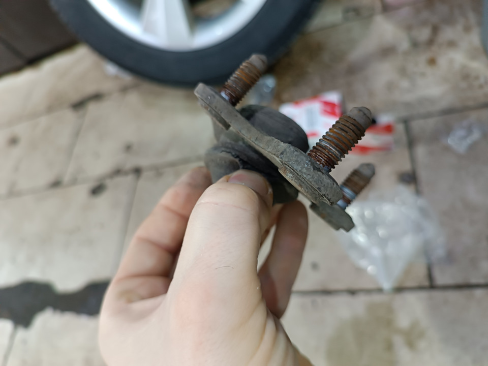 Фото в бортжурнале Skoda Octavia A7 Mk3