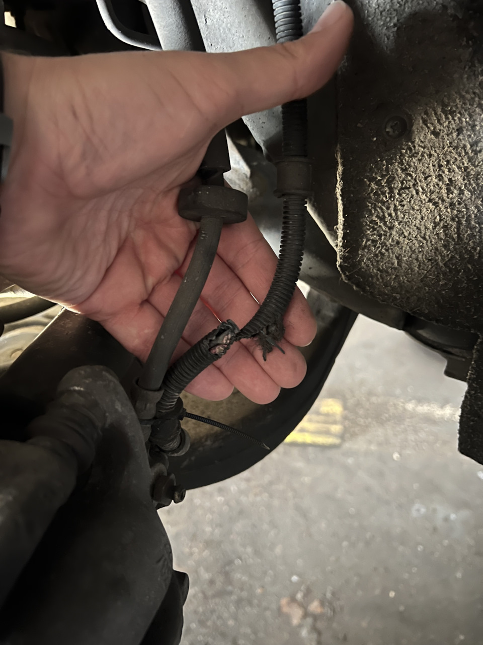 Фото в бортжурнале Lancia Thesis