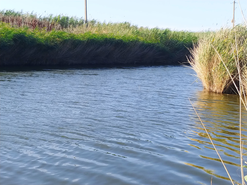 Ярославль-Пересыпь-Коктебель-Абрау-Дюрсо всей семьей и собакой на Ниве ...