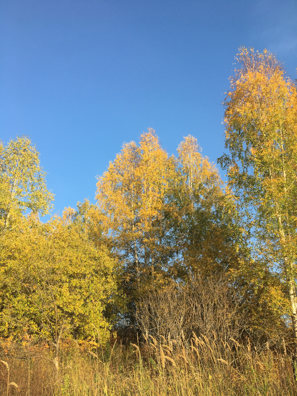 Фото в бортжурнале Toyota Land Cruiser Prado 120-series