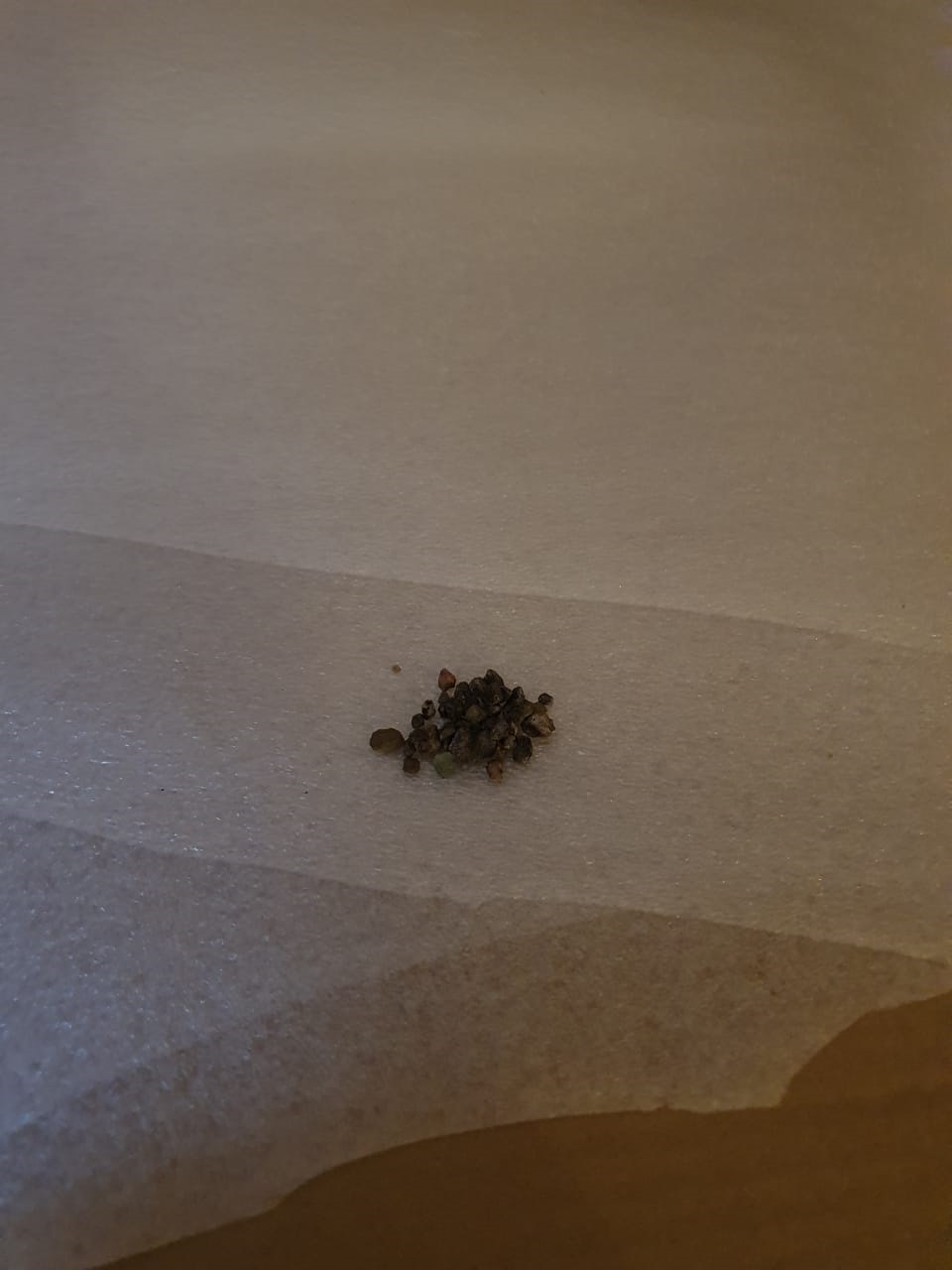 Фото в бортжурнале Renault Kaptur (2016)