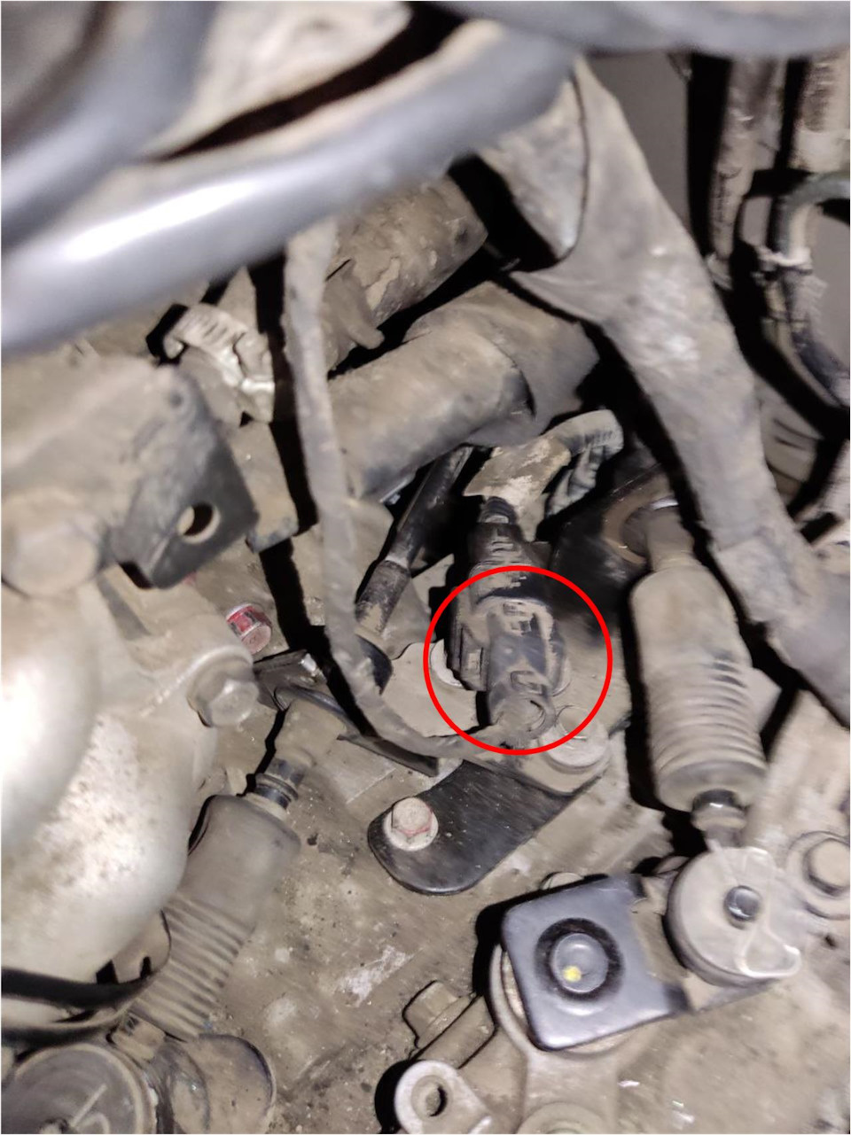 Фото в бортжурнале Hyundai Accent (3G)