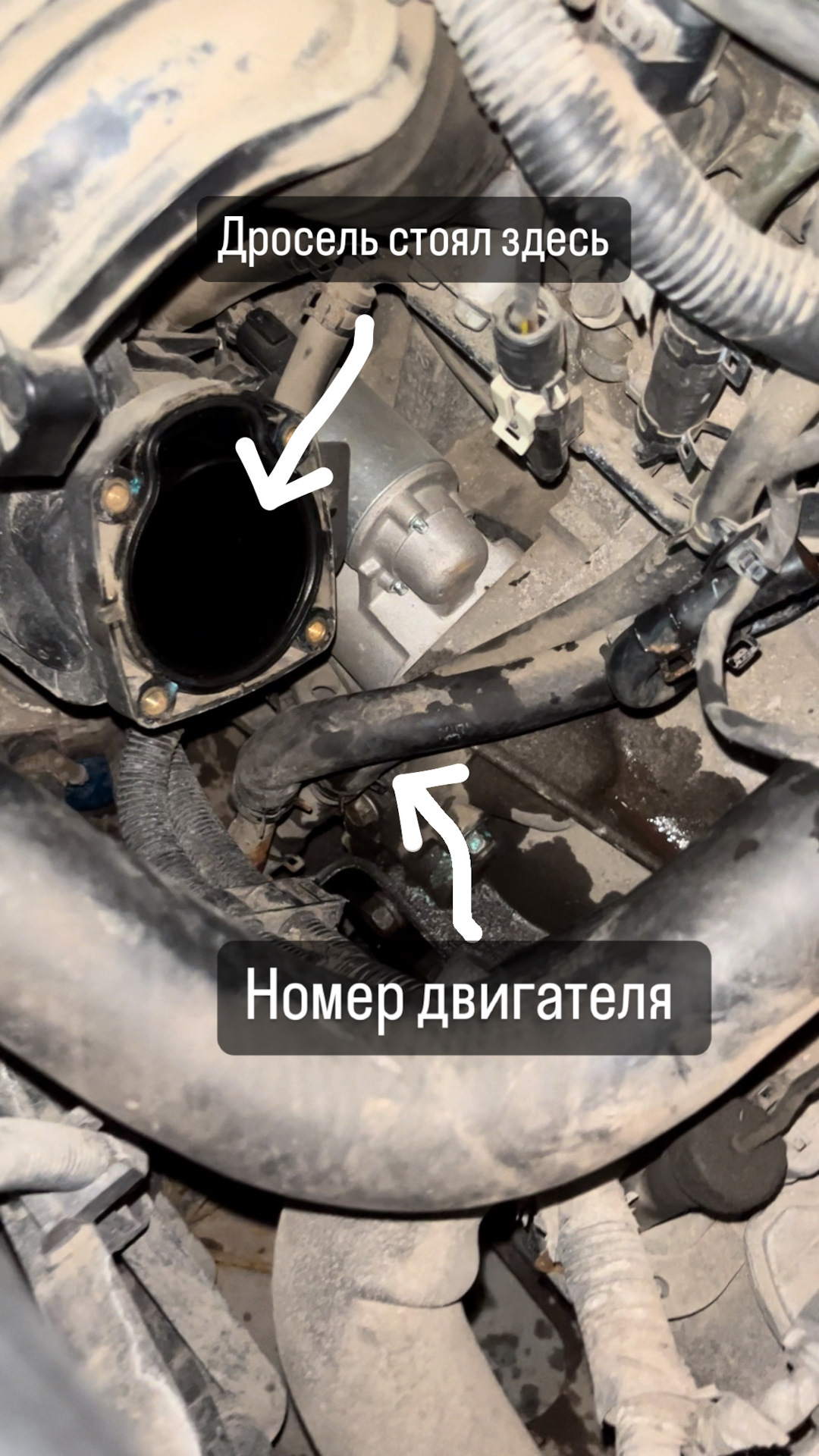 Номер двигателя, где искать — Hyundai Sonata V (NF), 2,4 л, 2006 года |  своими руками | DRIVE2