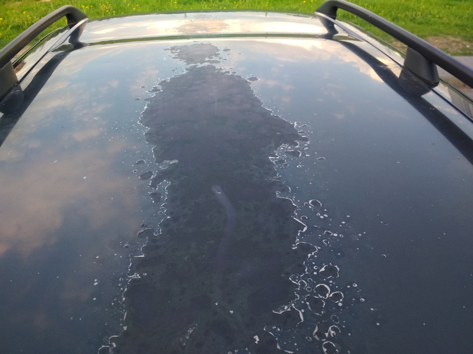 Полез лак на крыше — Opel Vectra B, 1,8 л., 2000 года | другое | DRIVE2