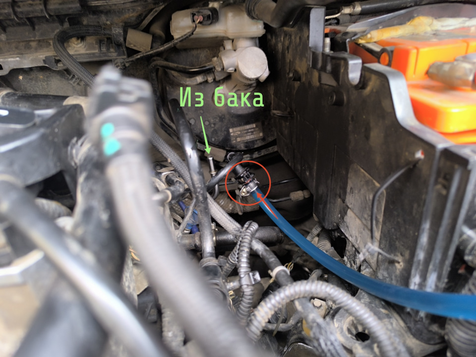 Фото в бортжурнале Ford Kuga (2G)