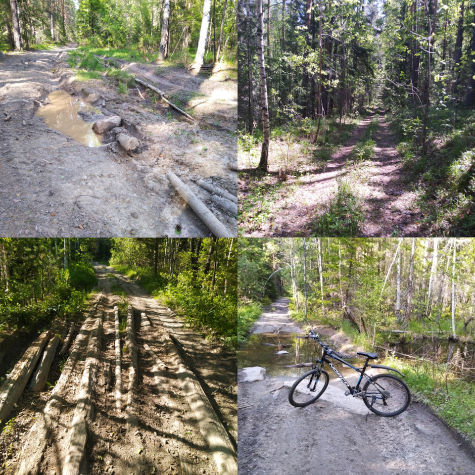 вороний камень светлогорск история. Смотреть фото вороний камень светлогорск история. Смотреть картинку вороний камень светлогорск история. Картинка про вороний камень светлогорск история. Фото вороний камень светлогорск история вороний камень светлогорск история. Смотреть фото вороний камень светлогорск история. Смотреть картинку вороний камень светлогорск история. Картинка про вороний камень светлогорск история. Фото вороний камень светлогорск история