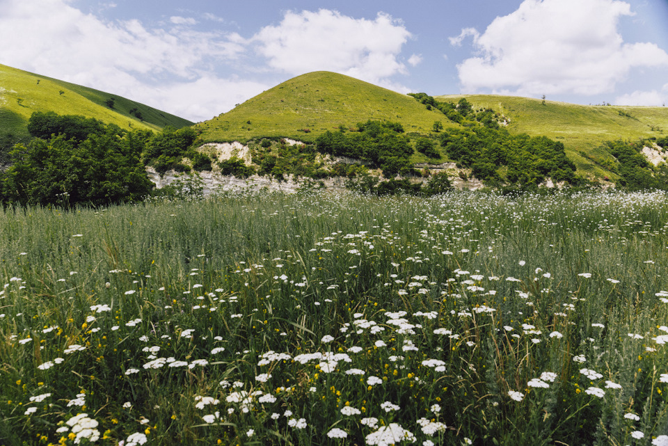 Река маруха карачаево черкессия что означает название. iLjem 3hDWWdF6cFsAiclRzXKAg 960. Река маруха карачаево черкессия что означает название фото. Река маруха карачаево черкессия что означает название-iLjem 3hDWWdF6cFsAiclRzXKAg 960. картинка Река маруха карачаево черкессия что означает название. картинка iLjem 3hDWWdF6cFsAiclRzXKAg 960. Река Маруха протекает по территории туристического района Архыза в Карачаево-Черкесской республике. Река маруха карачаево черкессия что означает название. iLjem 3hDWWdF6cFsAiclRzXKAg 960. Река маруха карачаево черкессия что означает название фото. Река маруха карачаево черкессия что означает название-iLjem 3hDWWdF6cFsAiclRzXKAg 960. картинка Река маруха карачаево черкессия что означает название. картинка iLjem 3hDWWdF6cFsAiclRzXKAg 960. Река Маруха протекает по территории туристического района Архыза в Карачаево-Черкесской республике.