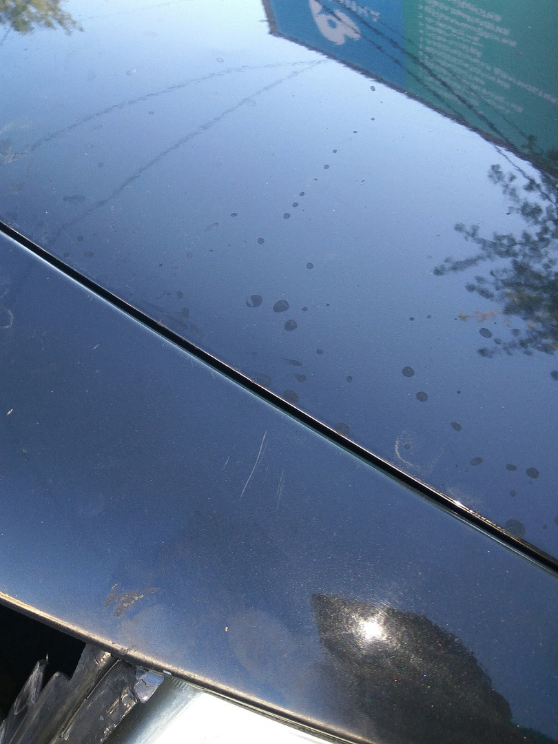 Фото в бортжурнале Renault Megane II