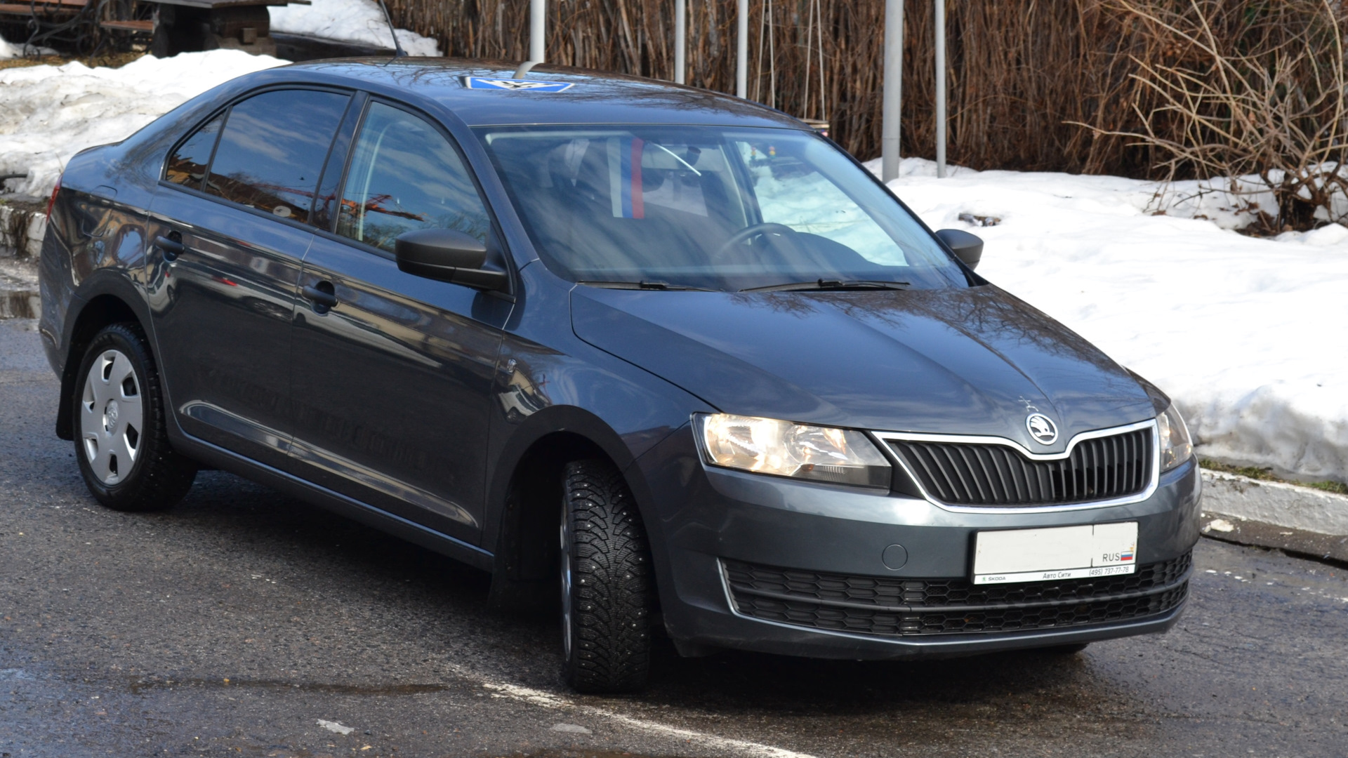 Шкода рапид автомат отзывы