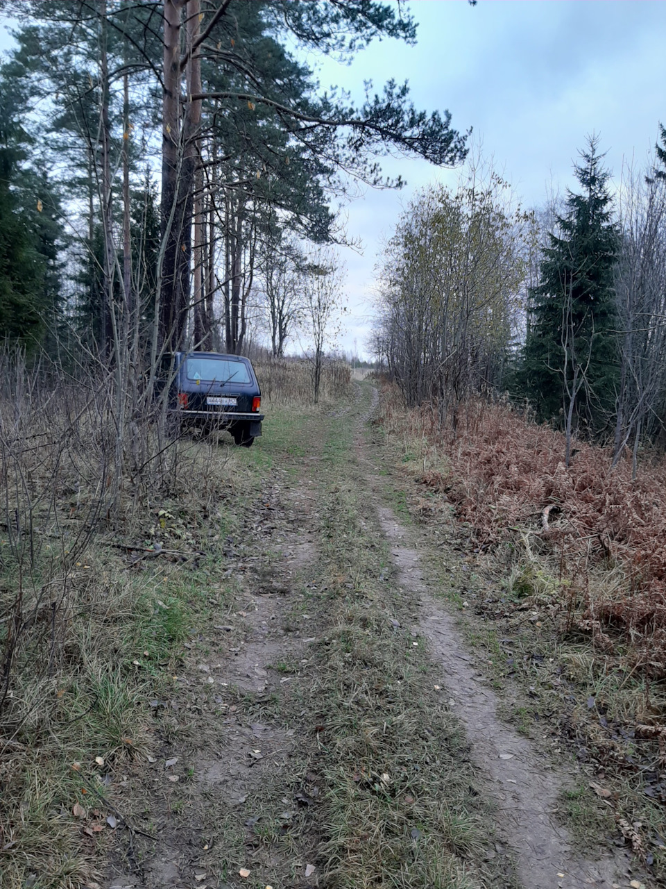 Немного покатался по лесу, кама 232 впечатления и P201 — Lada 4x4 3D, 1,7  л, 2014 года | покатушки | DRIVE2