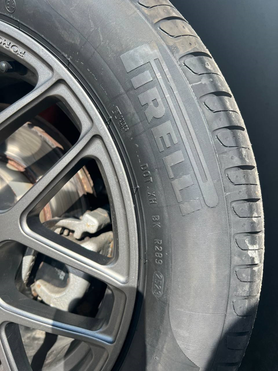 Летняя шина Pirelli Cinturato P7 205/55 R16 91V — Skoda Octavia A7 Mk3 ...