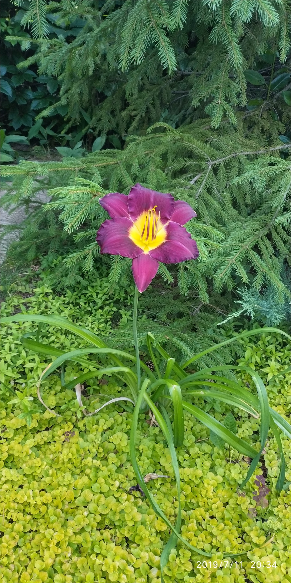 Не смог проехать мимо! — LADA Приора универсал, 1,6 л., 2012 года ...