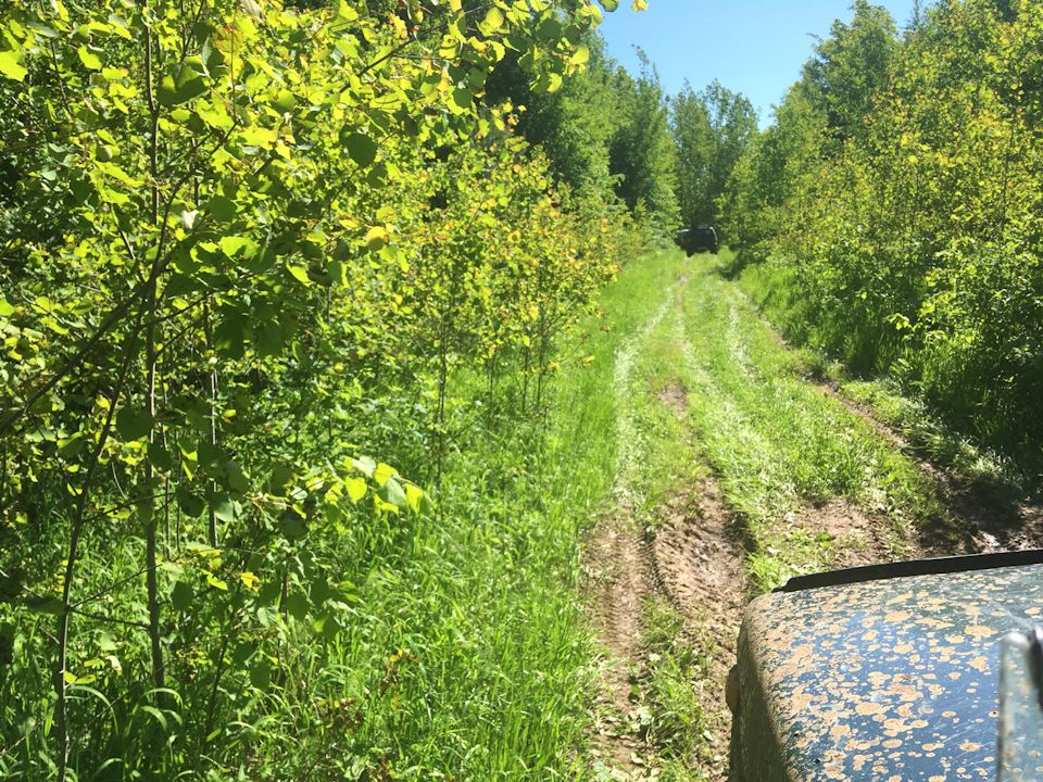 Почему горит лампочка масла на киа рио - 81 фото