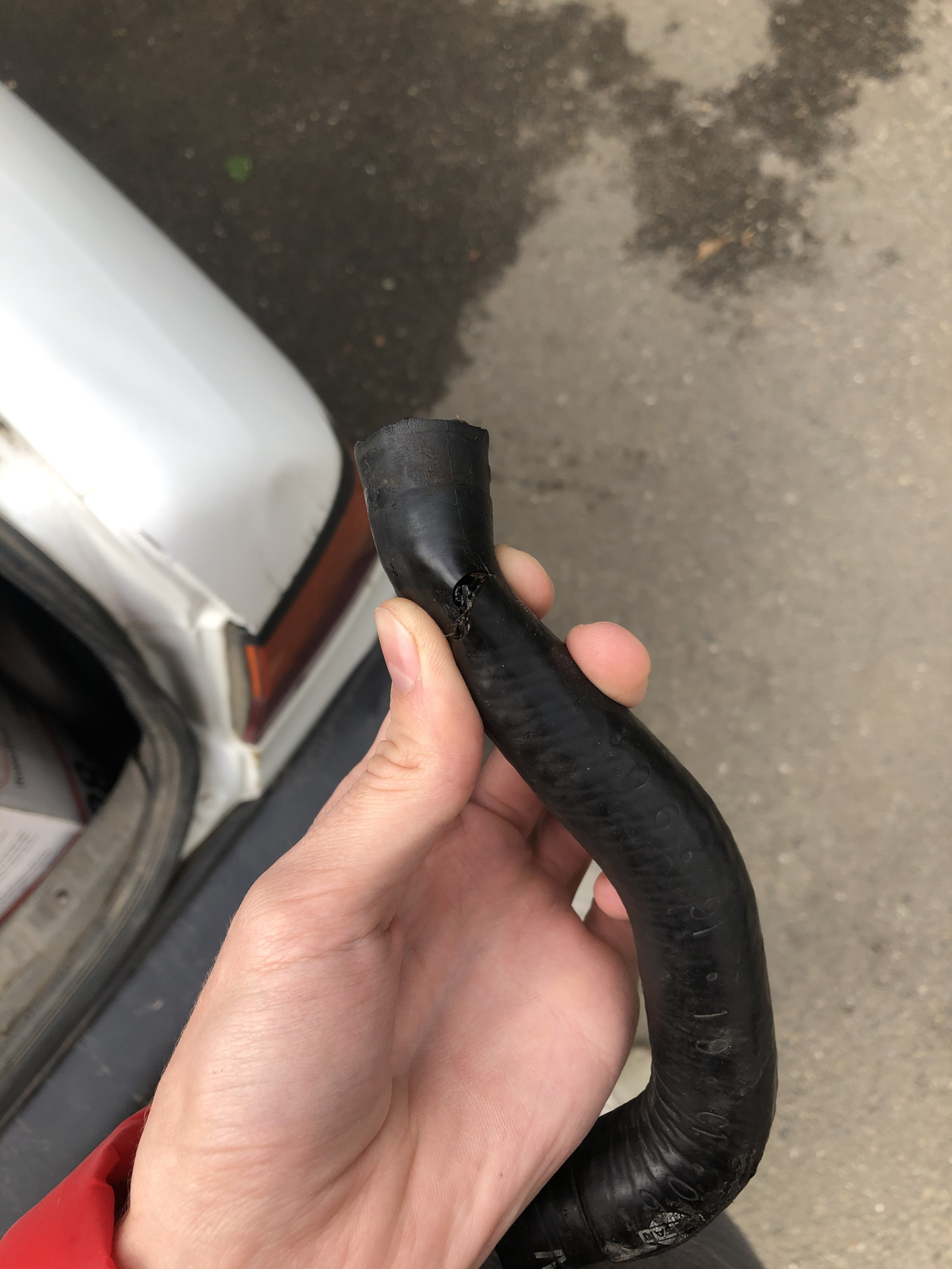Лопнул патрубок на печку — Nissan Primera (P10), 2 л, 1991 года ...