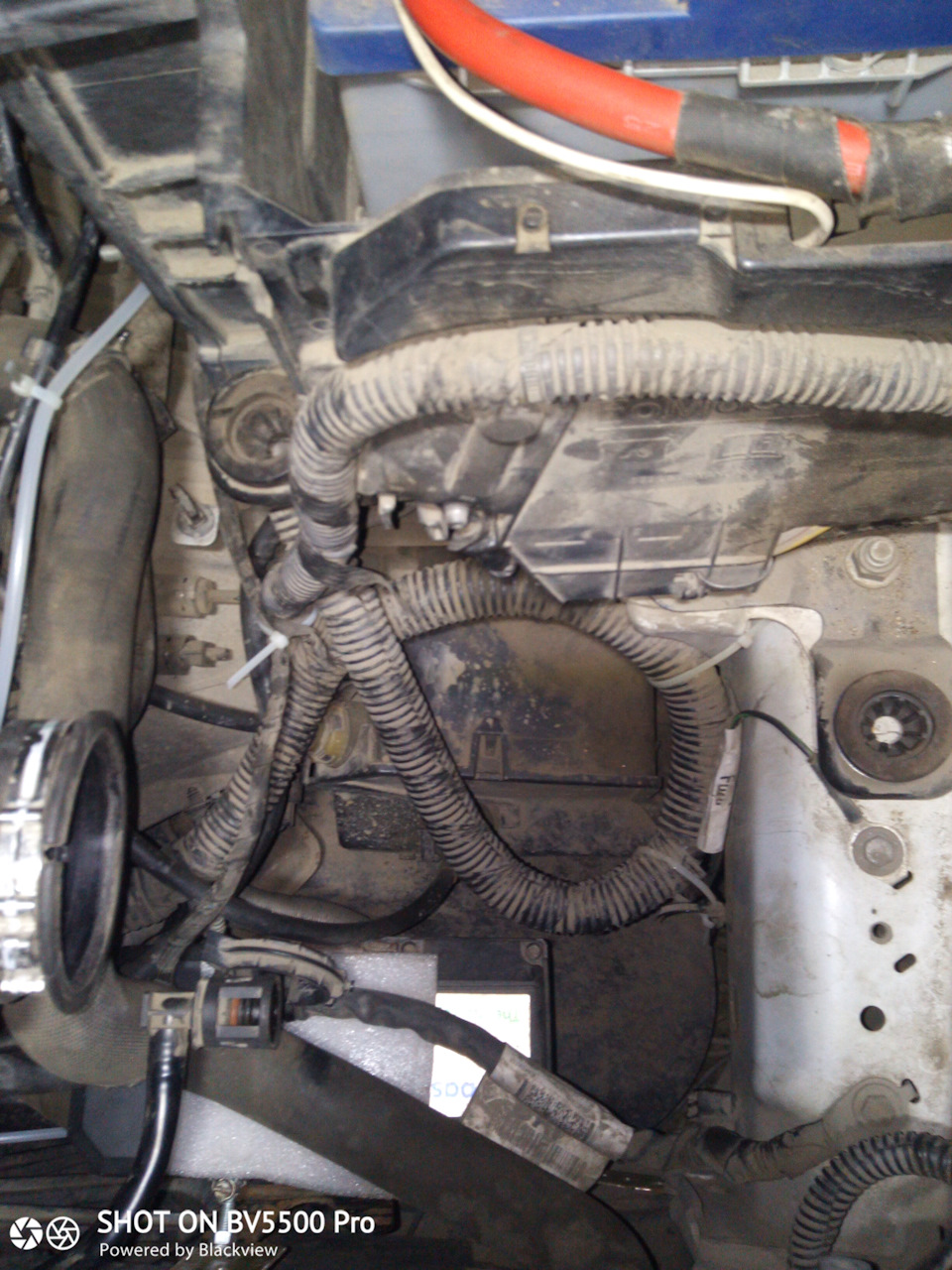 Фото в бортжурнале Ford Focus III Wagon