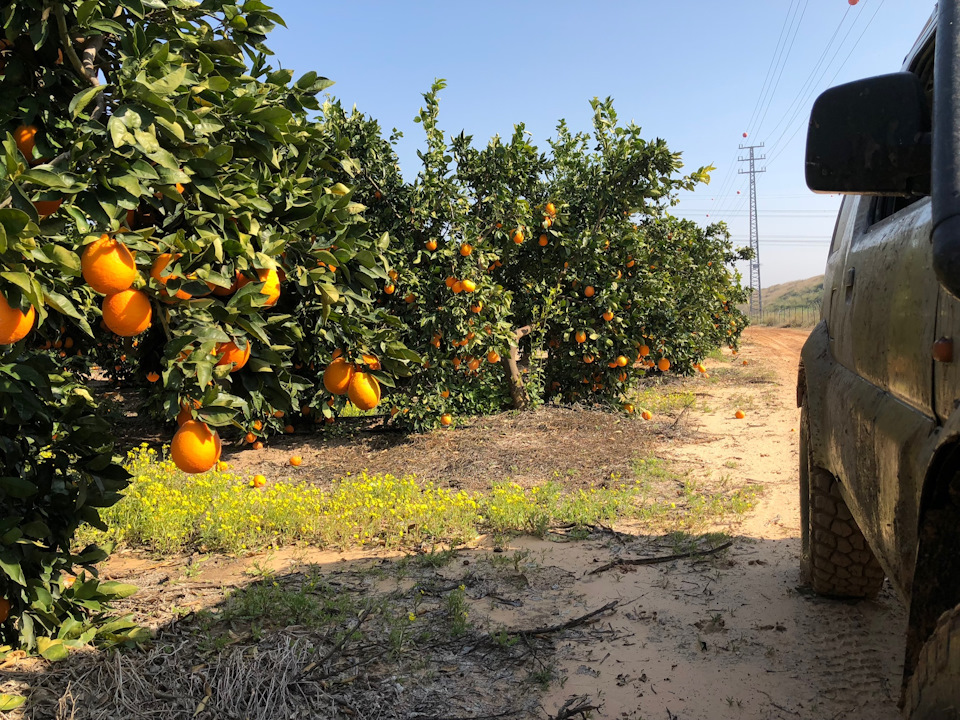 Фото в бортжурнале Suzuki Jimny (1G)