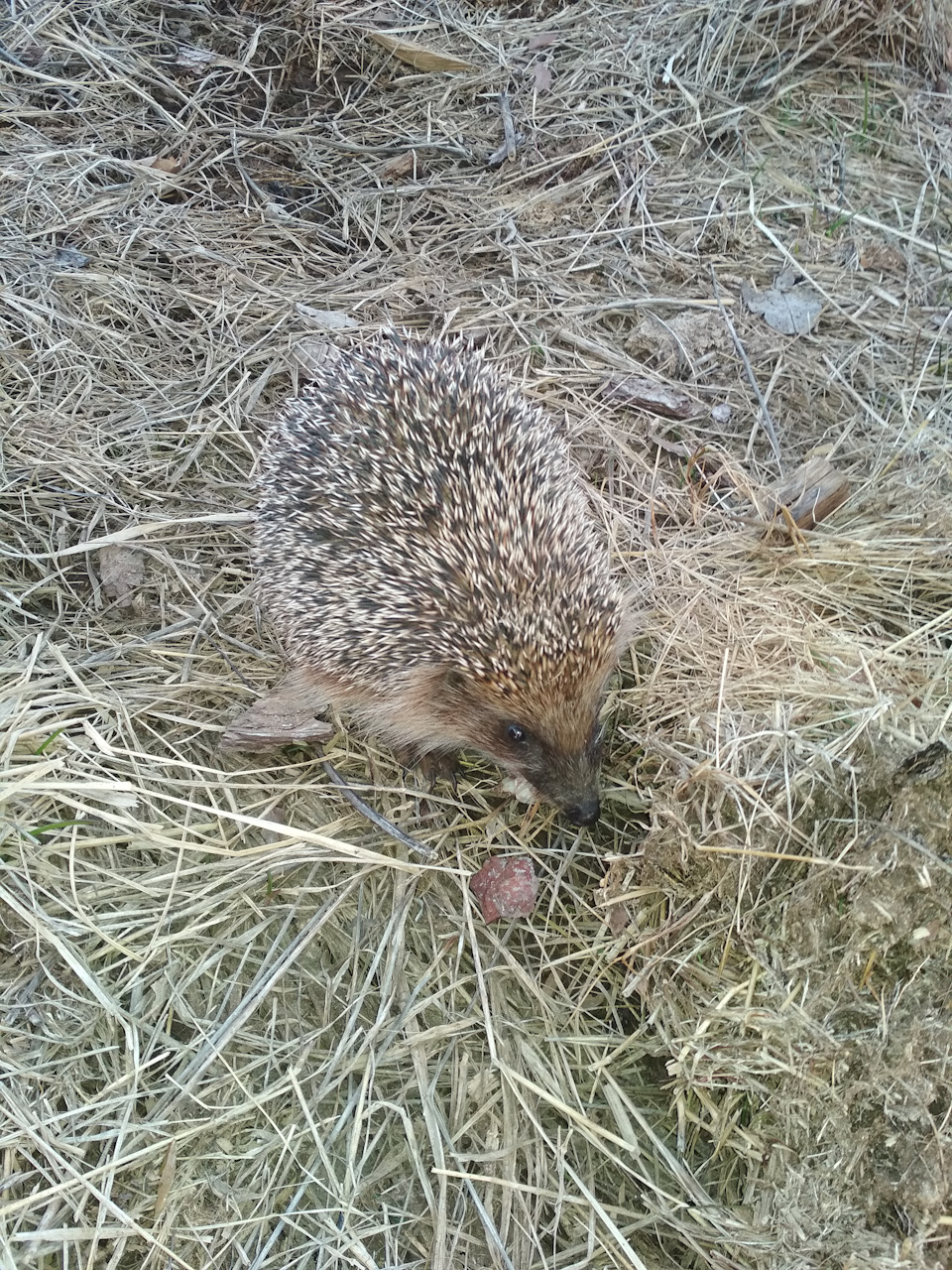 iUAAAgFbuuA 960 Как вставить отбойник в пыльник