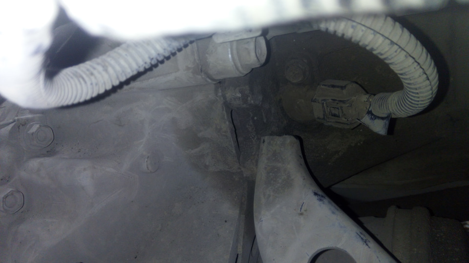 Фото в бортжурнале Nissan Expert (W11)