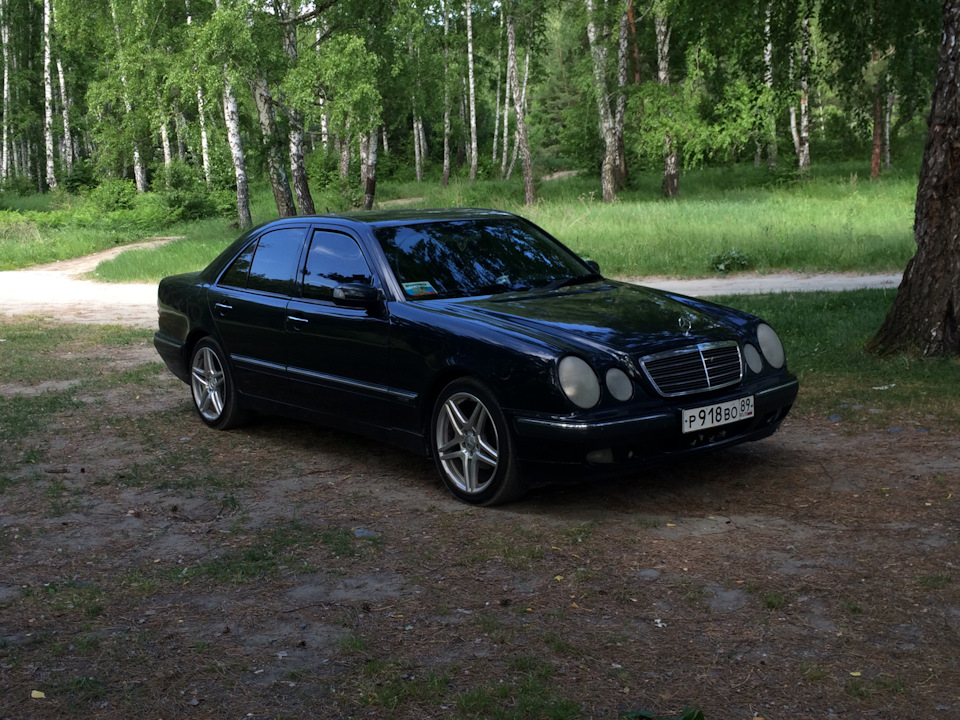 Защитная сетка в бампер. — Nissan Teana (J32), 2,5 л, 2008 года ...