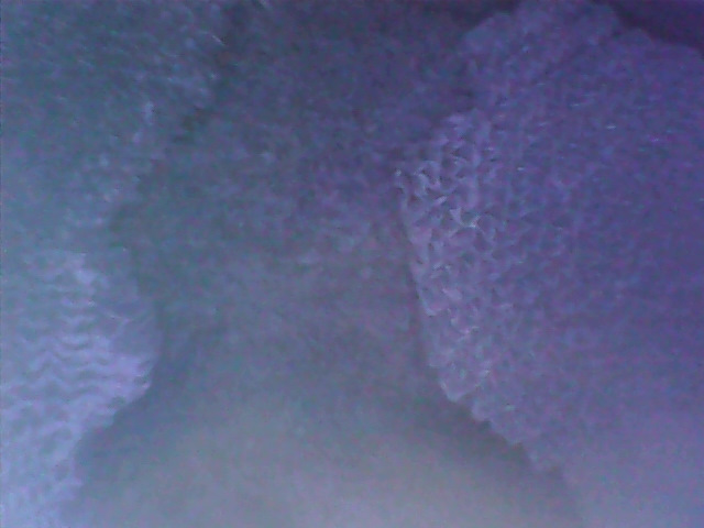 Как выглядит каталик через 100 тыс км — Lada Приора седан, 1,6 л, 2011 ...