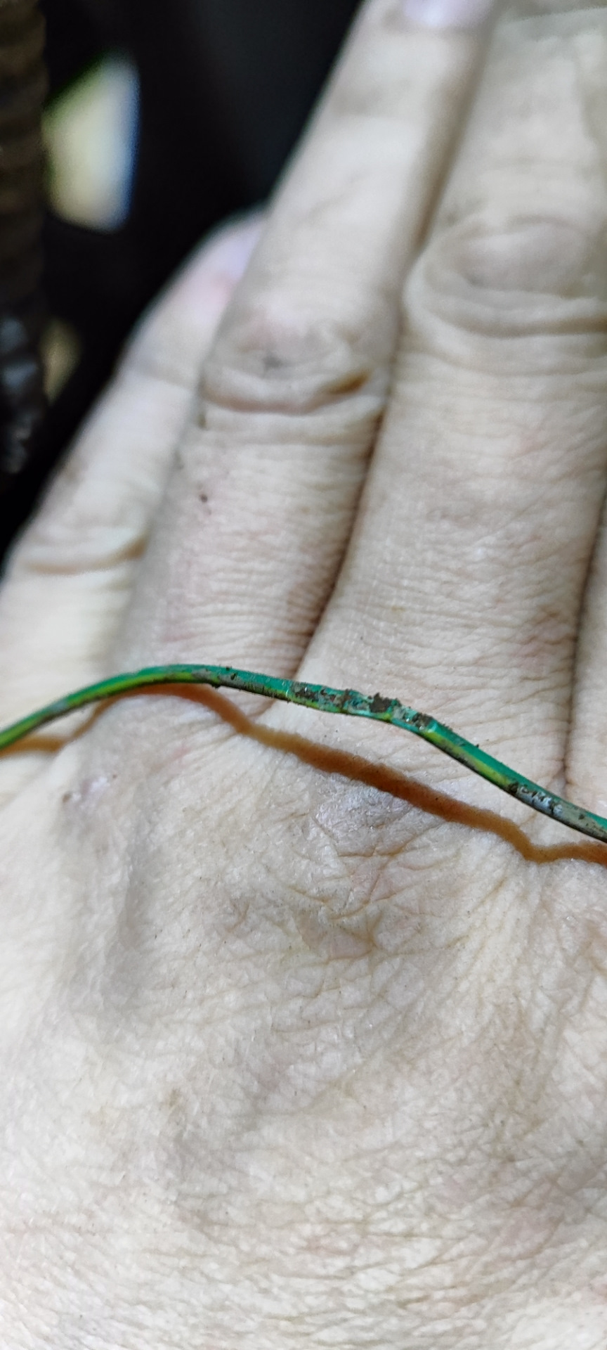 Перезаряд генератора — Great Wall Hover, 2 л, 2014 года | поломка | DRIVE2