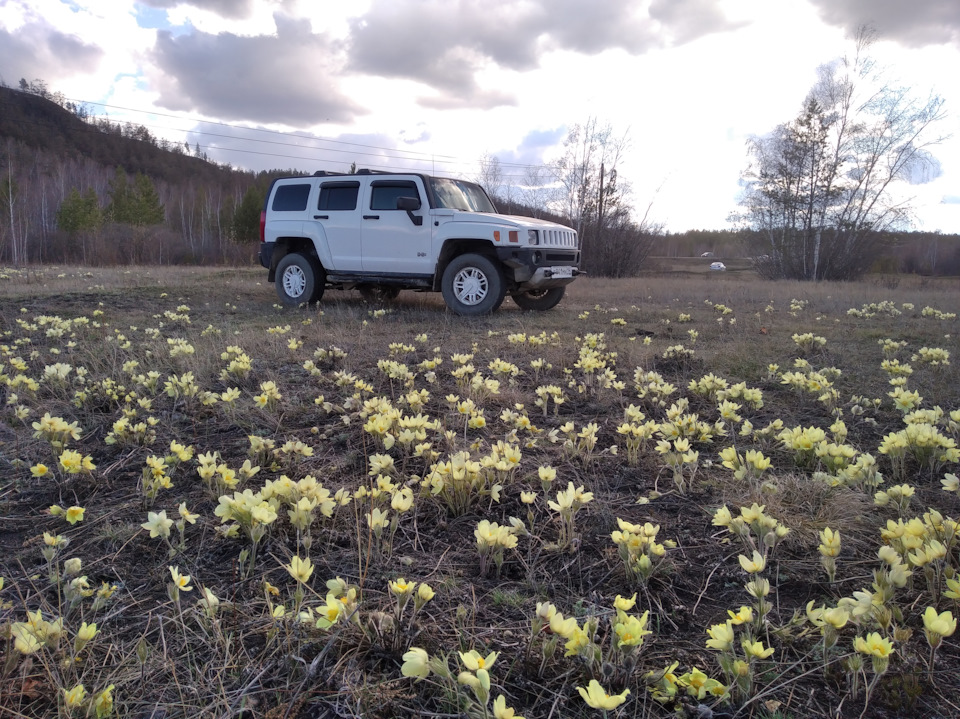 Фото в бортжурнале Hummer H3