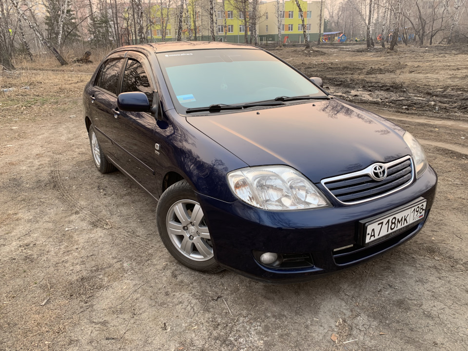 Авито омск авто. Продам Тойота Королла 2005 синий.