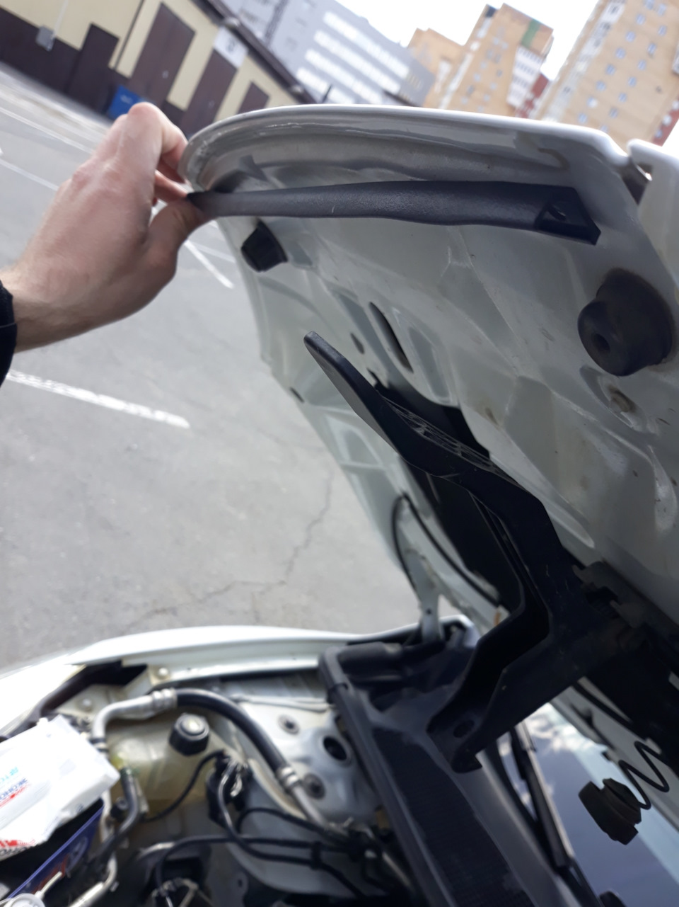 уплотнитель капота рено меган 3 правый. Смотреть фото уплотнитель капота рено меган 3 правый. Смотреть картинку уплотнитель капота рено меган 3 правый. Картинка про уплотнитель капота рено меган 3 правый. Фото уплотнитель капота рено меган 3 правый уплотнитель капота рено меган 3 правый. Смотреть фото уплотнитель капота рено меган 3 правый. Смотреть картинку уплотнитель капота рено меган 3 правый. Картинка про уплотнитель капота рено меган 3 правый. Фото уплотнитель капота рено меган 3 правый