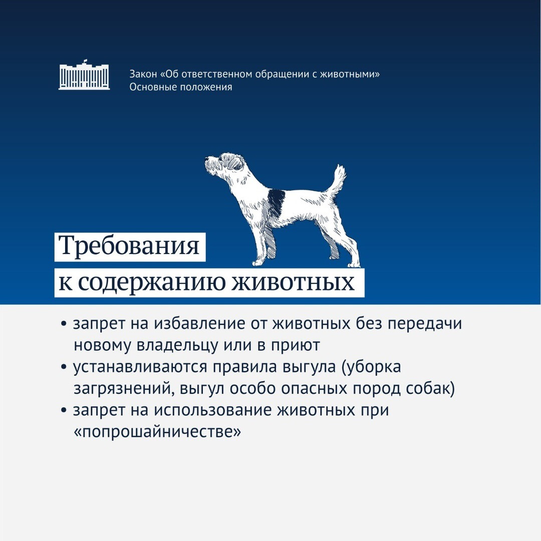 Проект федерального закона об ответственном обращении с животными