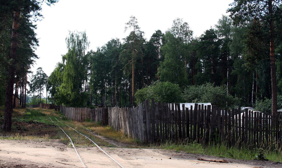 В мещерском крае можно увидеть