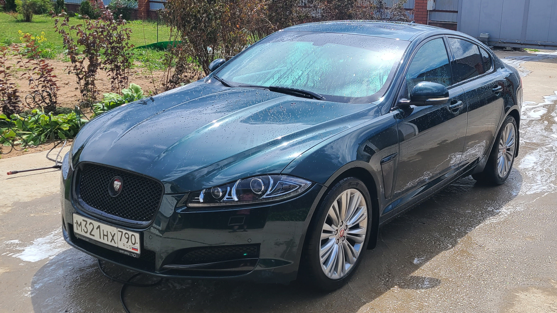 Jaguar отзывы владельцев